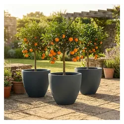 Ethick, Blumentopf, 3er-Set Blumentopf Rund 58cm, Graphit – Grosses Pflanzgefäss für Aussen und Innen (58 x 50 cm)