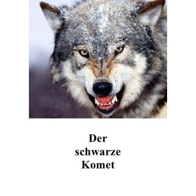 Der schwarze Komet, Taschenbuch von Gabriele Dolz, Epubli, 978-3-8442-2786-4