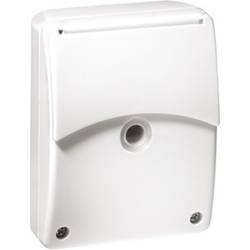 ESYLUX ED10016530 Dämmerungsschalter Weiß 230 V 1 Schließer