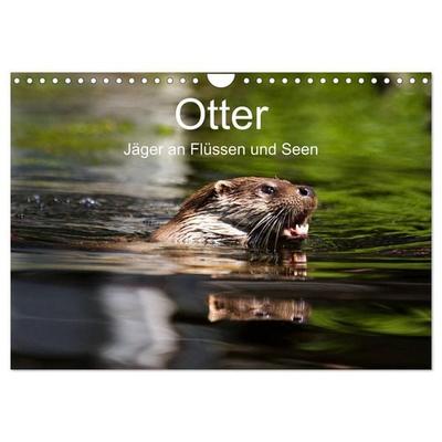 Otter - Jäger an Flüssen und Seen (Wandkalender 2027 DIN A4 quer), CALVENDO Monatskalender