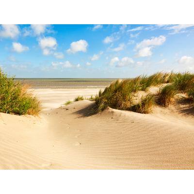 Fototapete PAPERMOON "Dunes Knokke-Heist", bunt, B:3m L:2,23m, Vlies, Tapeten