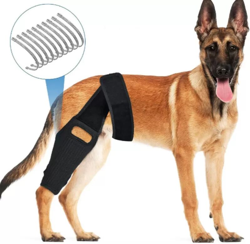 INF Knieorthese für Hunde zur Unterstützung des vorderen Kreuzbandes (ACL), des vorderen Kreuzbandes (CCL) und des mittleren