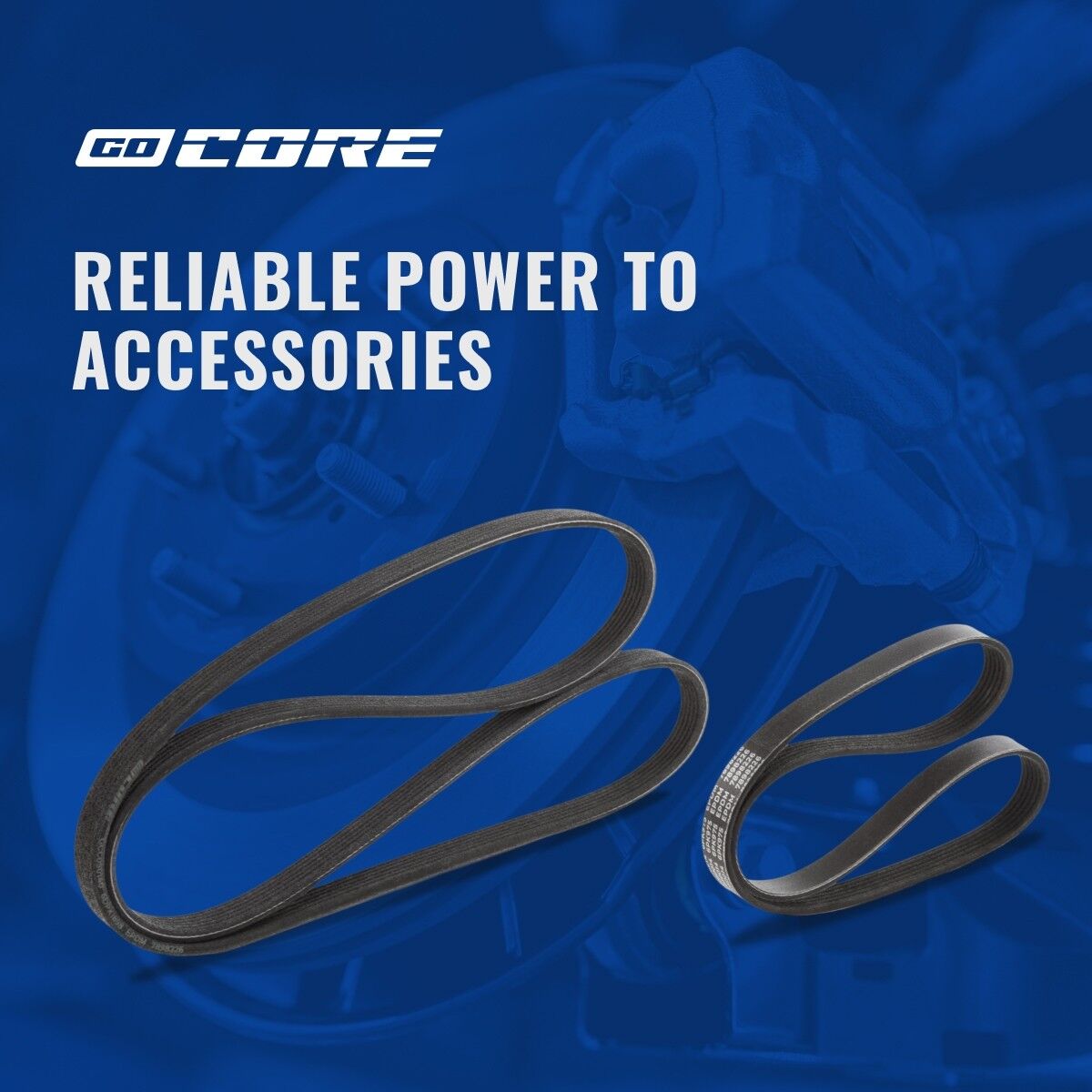goCORE GCC050137 Serpentine belt