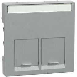 Merten Zentralplatte 2fach MEG4574-0460