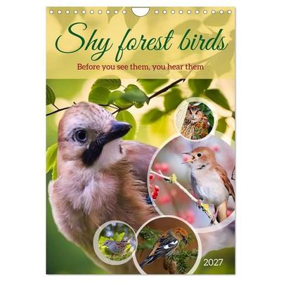 Shy forest birds (Wall Calendar 2027 DIN A4 portrait), CALVENDO 12 Month Wall Calendar