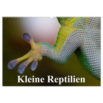 Kleine Reptilien (Wandkalender 2027 DIN A2 quer), CALVENDO Monatskalender