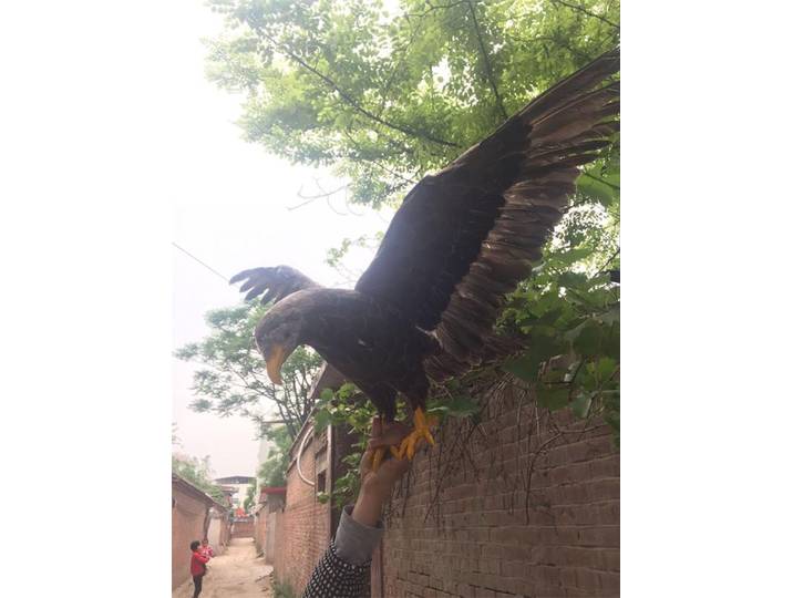 Grandes ailes de simulation, modèle d'aigle en mousse et plumes, cadeau d'oiseau d'aigle, environ 45x90m xf2990