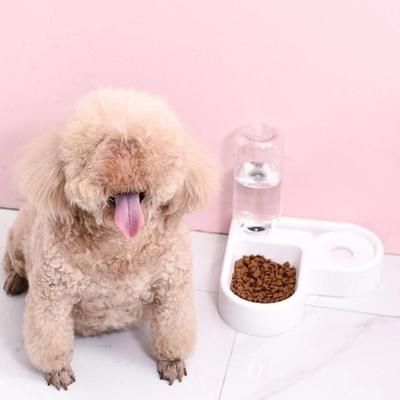 Uplifted Finds Double Pet Bowl With Automatic Water Dispenser And Anti Tip Design Double Pet Bowl With Automatic Water Dispenser And Anti Tip Design