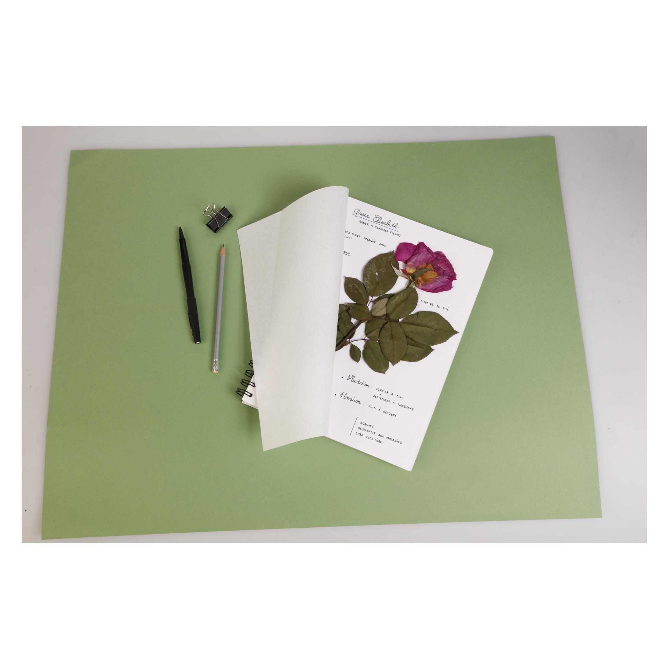 Clairefontaine Herbarium (975179C)