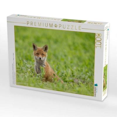 CALVENDO Puzzle Ein Motiv aus dem Kalender Füchse - zauberhafte Seelen | 1000 Teile Lege-Größe 64x48cm Foto-Puzzle für glückliche Stunden