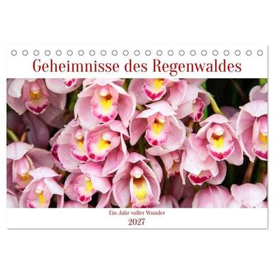 Geheimnisse des Regenwaldes (Tischkalender 2027 DIN A5 quer), CALVENDO Monatskalender