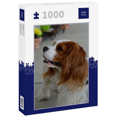Lais Puzzle Cavalier King Charles Spaniel 1000 Teile