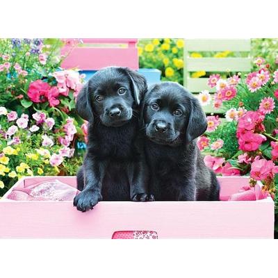Black Labs in Pink Box Puzzle