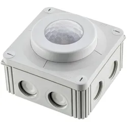 Pracht Tageslicht/Bewegungssensor XLS CCS HALL