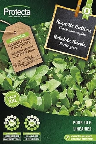 Protecta Groente zaden: Raketsla Rucola XXL