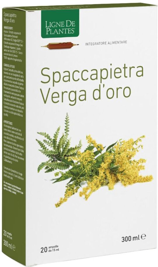 NATURA SERVICE Srl Ligne Spaccapietra Verga 20amp