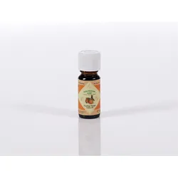 Sauna Öl 10ml fruchtige Orange