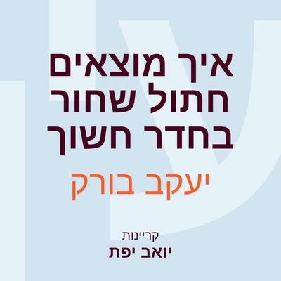 איך מוצאים חתול שחור בחדר חשוך - יעקב בורק, Audio, 9789180613187