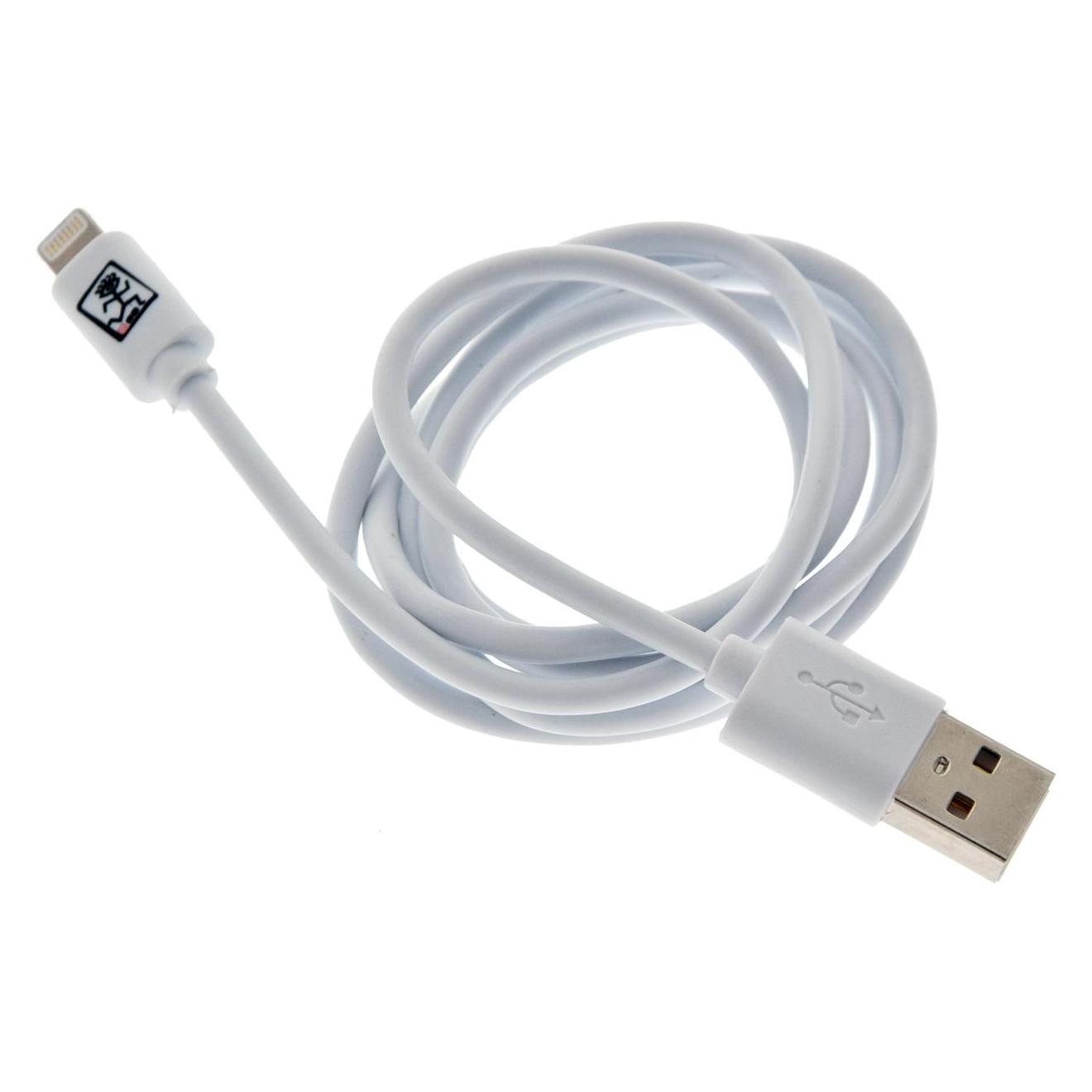 2GO 795781 USB Kabel USB B Lightning (1 m) (795781)