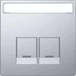 Merten Zentralplatte 2 fach edelstahl Electric-Connector MEG4574-6036