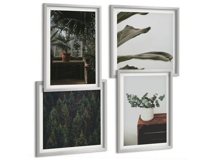 BILDER SET 4er Set - 50x50 cm & 40x60 cm Silberner Rahmen - Rustikale Topfpflanzen