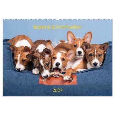 Basenji-Schönheiten (Wandkalender 2027 DIN A2 quer), CALVENDO Monatskalender