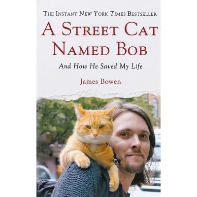 STREET CAT NAMED BOB, Gebundene Ausgabe von James Bowen, St. Martin's Publishing Group, 978-1-250-02946-1