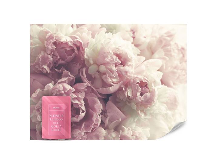 FOTOTAPETE Vintage-Pfingstrosen Blumen 3D 200x140