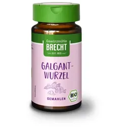 Brecht Galgantwurzel gemahlen im Glas bio