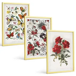 BILDER SET 3er Set - 40x60 cm Goldrahmen - Schmetterlinge, Blumen, rote Rosen