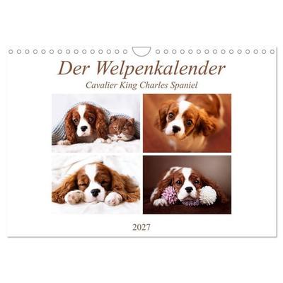 Der Welpenkalender - Cavalier King Charles Spaniel (Wandkalender 2027 DIN A4 quer), CALVENDO Monatskalender