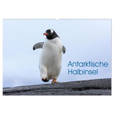 Antarktische Halbinsel (Wandkalender 2027 DIN A2 quer), CALVENDO Monatskalender
