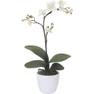 Creativ-green Kunstblume Orchidee, Phalaenopsis, Cassandra, weiß, Keramik-Topf, Höhe 55 cm, 2 Stück
