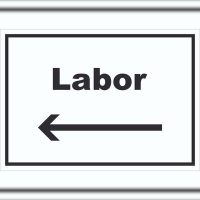 HB-Druck Labor Schild mit Text und Richtungspfeil links untersuchen forschen waagerecht A2 (420x594mm)