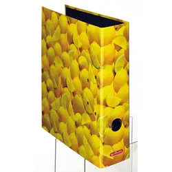 herlitz Motivordner Rückenbreite 8 cm DIN A4 Karton Motiv