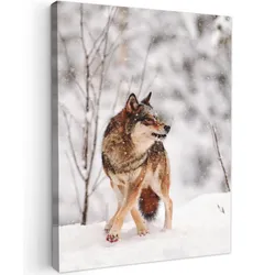 LEINWANDBILD Wolf - Winter - Schnee - Natur - Tiere Room Decor 30x40 cm