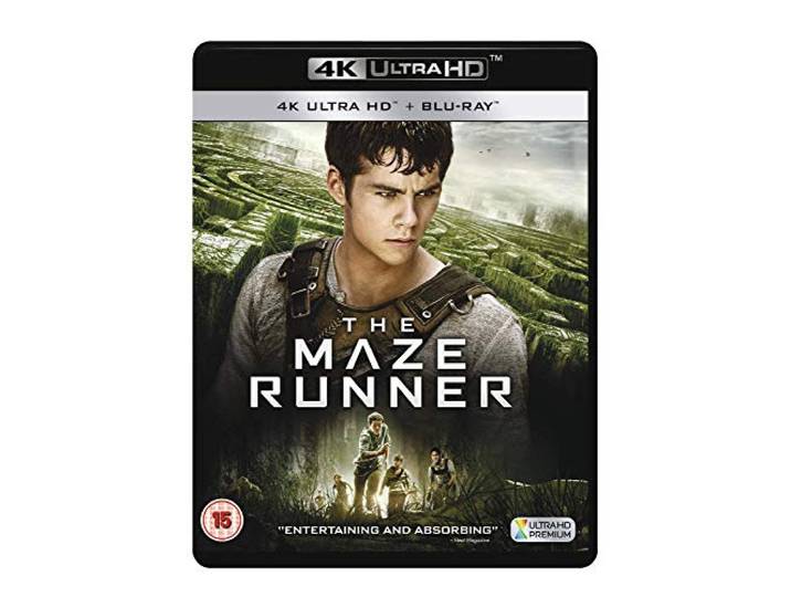 The Maze Runner