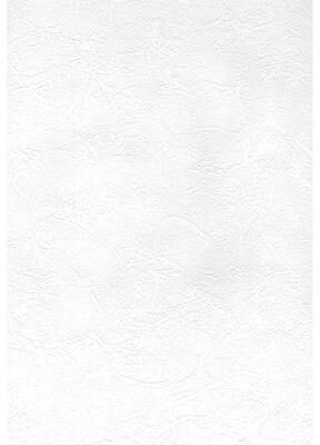 Brewster Cale Paintable Slap Trowel Plaster Wallpaper - 20.5in x 396in x 0.025in