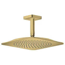 Hansgrohe AXOR Citterio C Kopfbrause 270/270 1jet EcoSmart mit Deckenanschluss BB, Brushed Brass