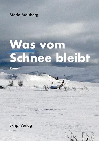 Marie Molsberg - Was vom Schnee bleibt: Roman - Preis vom 16.10.2026 11:41:07 h