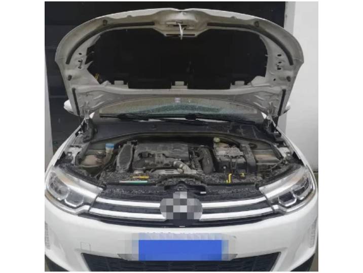 Amortisseurs à gaz pour citroën C3-XR 2014-présent, Support de levage de capot avant, amortisseurs, tiges d'accessoires