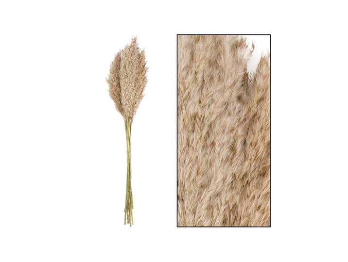 Kunstblume CHALET Schilfrohrfeder , beige (nature), 10 Stk., Kunstpflanzen, Kunstblume