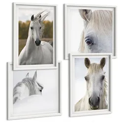 BILDER SET 4er Set - 50x50 cm & 40x60 cm Weißer Rahmen - Weiße Pferde