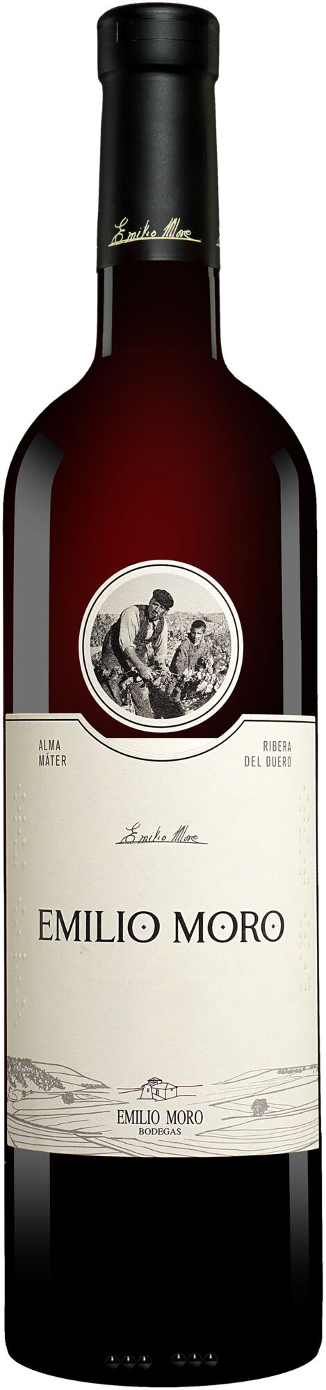 Emilio Moro 2023 14.5% Vol. Rotwein Trocken aus Spanien