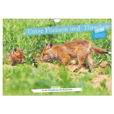 Unter Füchsen und Hirschen (Wandkalender 2027 DIN A4 quer), CALVENDO Monatskalender