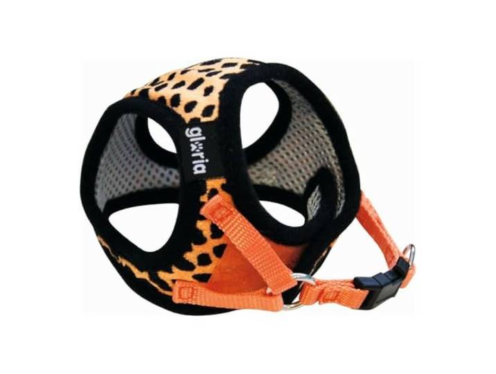 gloria Harness/Leopard Jurk