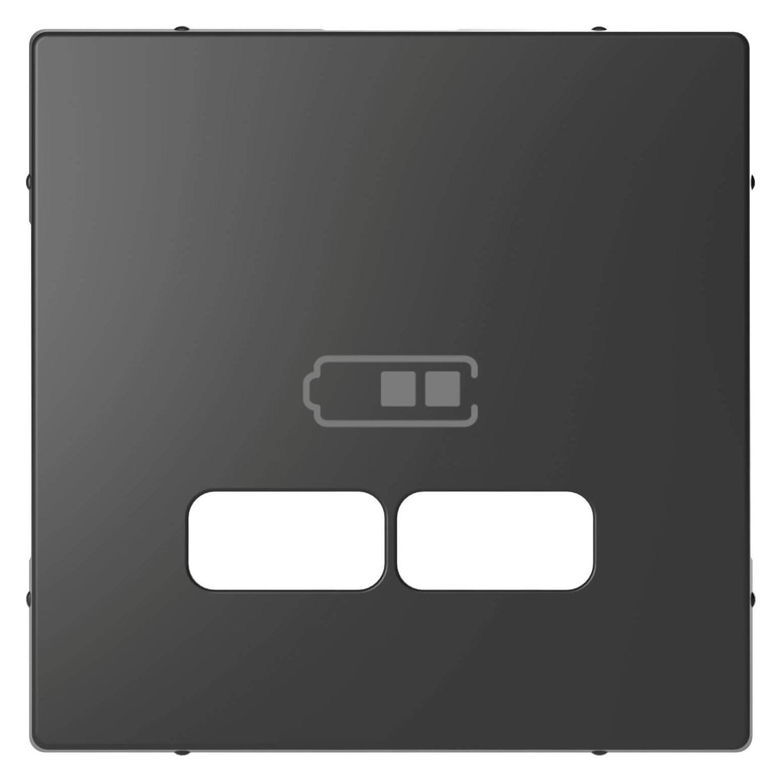 Merten Zentralplatte USB 2f anth mt Klemmbef MEG4367-6034 (MEG4367-6034)
