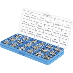 SCH 349852 - Feinsicherungs-Sortiment, 5 x 20 mm, träge, 360er-Pack