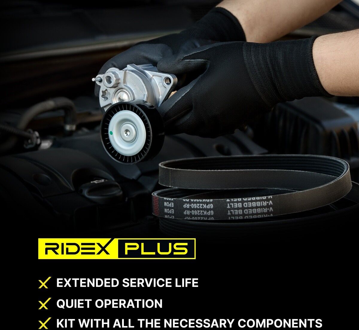 RIDEX PLUS 542R0038P Moniurahihnasarja