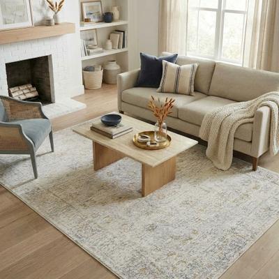 Robin Performance Indoor Area Rug by Sevita